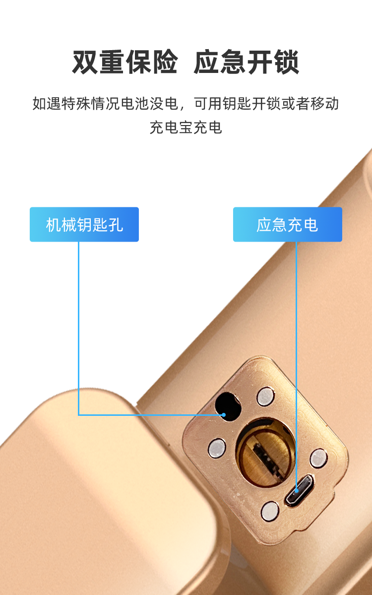 YK01 Fully Automatic Face Recognition Smart Lock(图12)