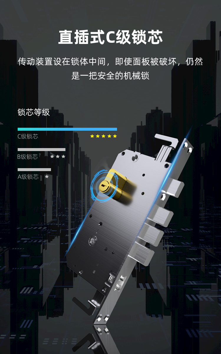 YK01 Fully Automatic Face Recognition Smart Lock(图11)